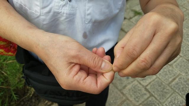 South Vietnam: Travel Vlog | Saigon, Phan Thiet, Mui Ne (Turn on CC/ Subtitles!) смотреть онлайн