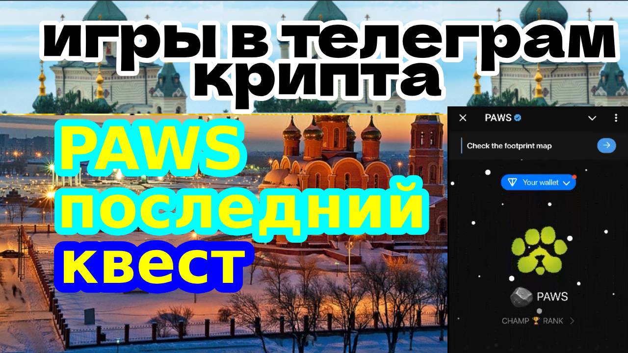PAWS последний квест