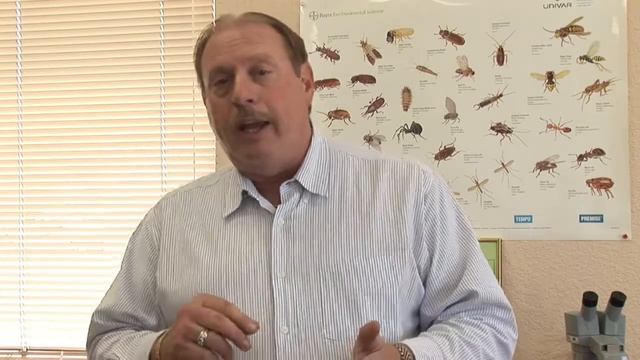 How to Get Rid of Ants : How to Get Rid of Cow Ants смотреть онлайн