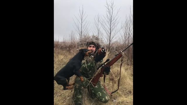 Бопка темер снами нет смотреть онлайн