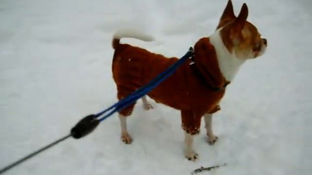 Фильм Юша зимой смотреть онлайн