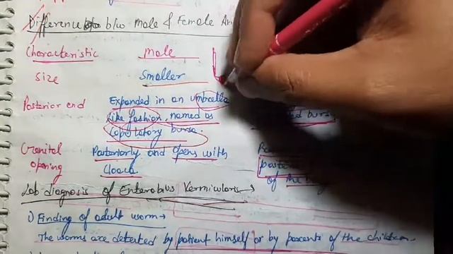 Male Vs Female Ancylostoma Duodenale Difference Microbiology смотреть онлайн