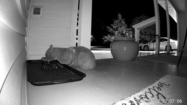 kitty kam смотреть онлайн