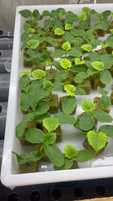 24 марта 2024 г. смотреть онлайн