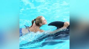 Вредина Лайф