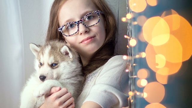 Хаски смотреть онлайн