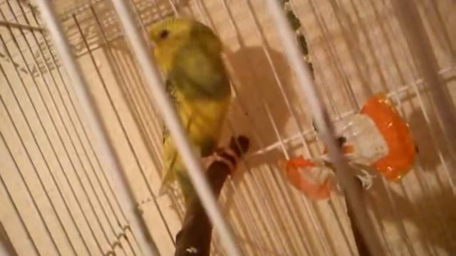 MOV00835 смотреть онлайн