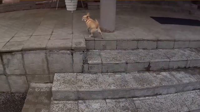 Соня после школы смотреть онлайн