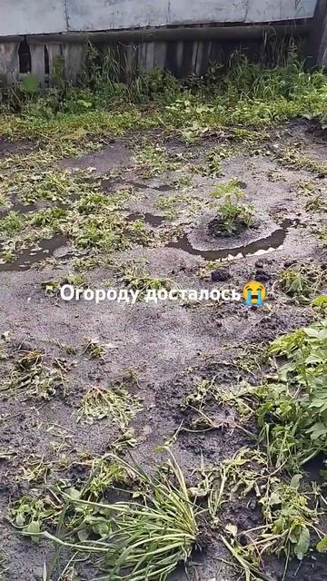 Урон в хозяйстве после сильнейшего ливня😭#гроза #shorts #ураганы #топ смотреть онлайн