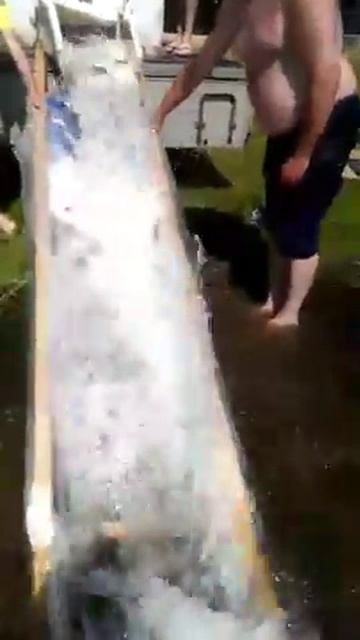 Зарыбление Амуром водоема Заборье. Часть 2 смотреть онлайн