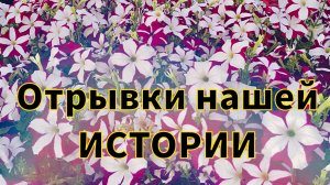 Земля на рассаду | Кассеты на рассаду | Отрывки нашей истории | Ящики для тюльпана | Сажаем тюльпан