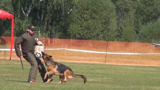 Изабель из Дома Аленс (лобовая) смотреть онлайн