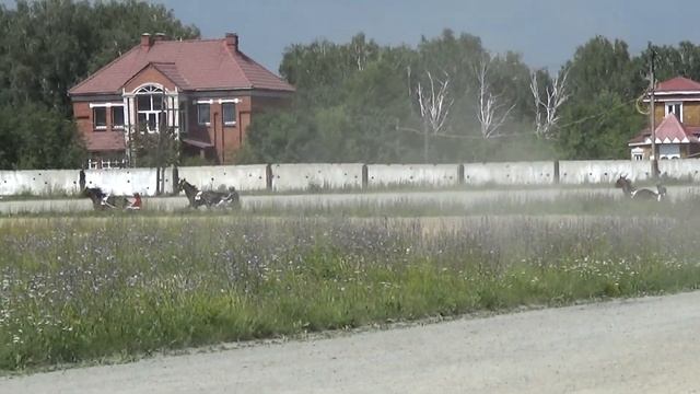 2017. Заезд № 5 (82). смотреть онлайн
