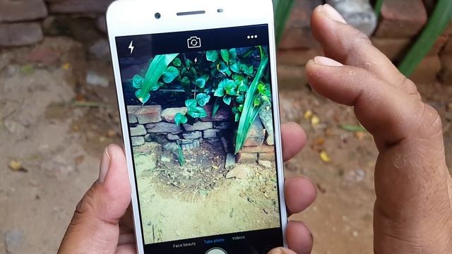 VIVO Y55L Camera Review | True Review смотреть онлайн