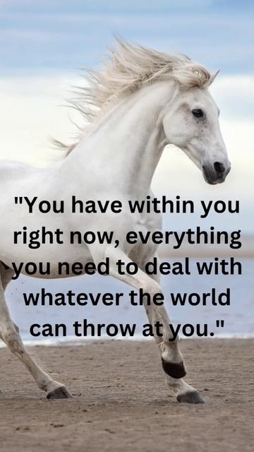 The Boy, the Mole, the Fox and the Horse #quotes смотреть онлайн