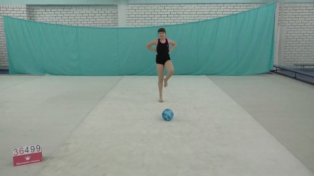 Обязательная программа – СШ 196 – команда "Гепард" – 25.03.2021 - 36499 смотреть онлайн