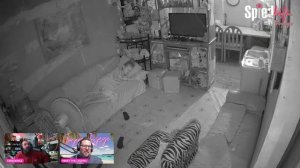 LIVE NEW VOYEUR VOYAGE TO SPIEDLIFE REALITY TV SHOW 11/3/2021