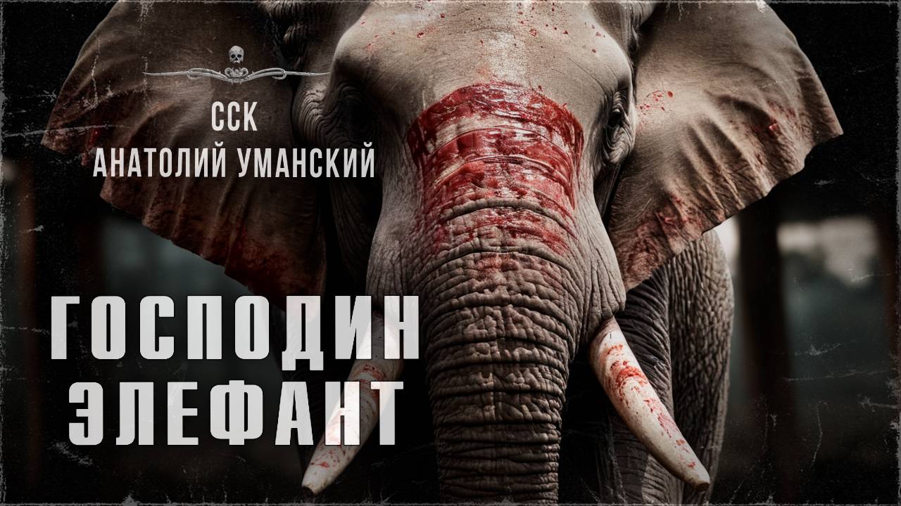 ССК | Вот это просто ПОТРЯСАЮЩАЯ история. Рекомендуем, точно не пожалеете! ГОСПОДИН ЭЛЕФАНТ смотреть онлайн