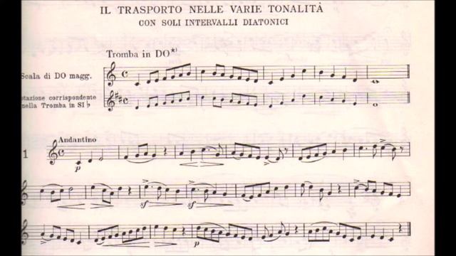 Selected Easy do Intermediate Etudes-100 Studi Melodici per il transporto nella tromba e congeneri смотреть онлайн