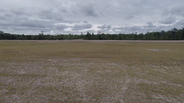 Chaos 600 (Trex Clone) Maiden flight after rebuild смотреть онлайн