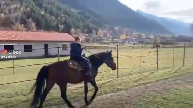 чтооо смотреть онлайн