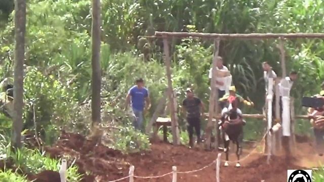 MAMBA NEGRA-HÍPICO DON JUAN SAN PEDRO 24-3-24 смотреть онлайн