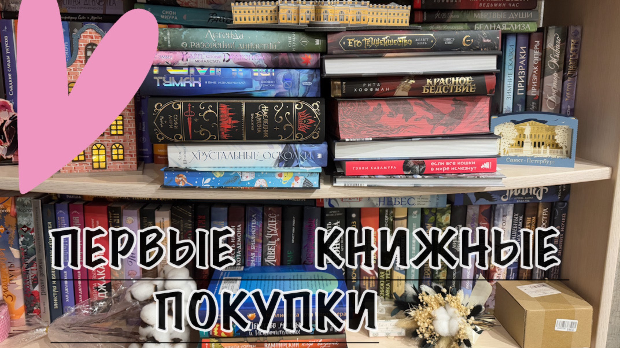 Книжные покупки нового 2025 года смотреть онлайн