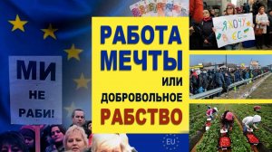 Работа мечты или добровольное рабство?