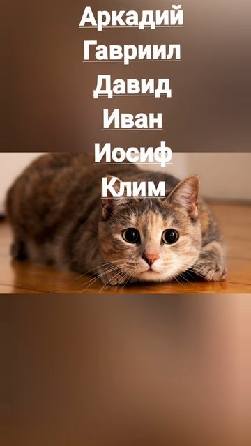 Именины 8 февраля