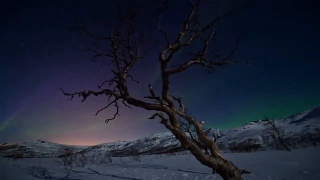 Northern Lights - Aurora Borealis смотреть онлайн