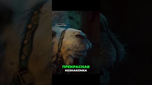 Человек-Верблюд: Приключения и спасение от чудища волшебного смотреть онлайн