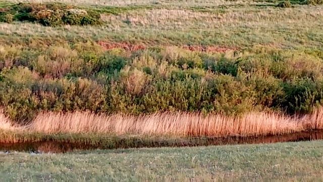 природа и человек 88 утро на реке аят смотреть онлайн
