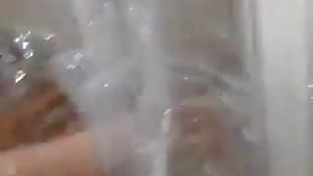 Играем с собакой по имени Моли смотреть онлайн