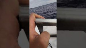 Афалина 395 и Хайди 9.9 ПРО обзорчик на воде