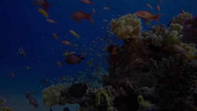 Kompilacja najlepszych piosenek Krzysztof Krawczyk 🍀 Najlepszych piosenek wszech czasów 🍀 смотреть онлайн