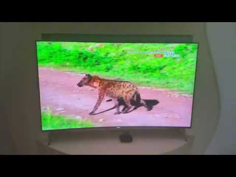 Небольшой обзор сервиса Glanz TV (IP TV телевидение)