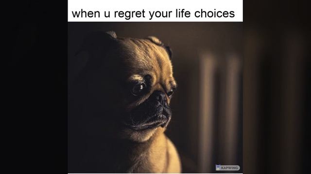 When u regret life (meme) смотреть онлайн