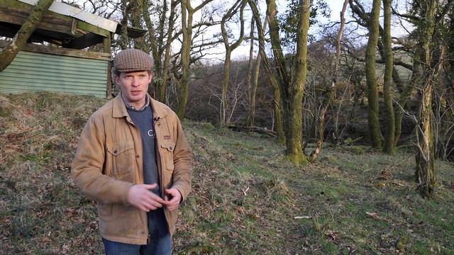 REWILDING THE WEST COUNTRY смотреть онлайн