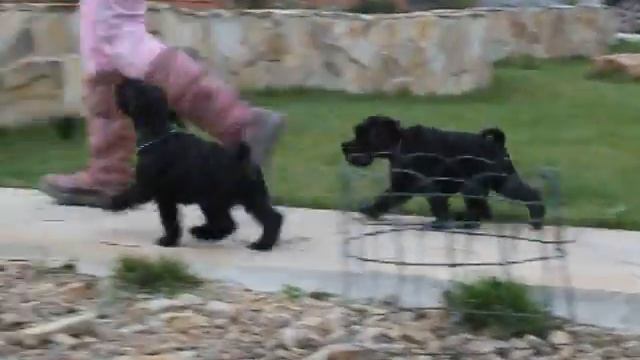 MVI 1065 смотреть онлайн