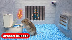 Побег Хомяка из секретной тюрьмы с ЛОВУШКАМИ ! Видео для детей ! Умные животные !