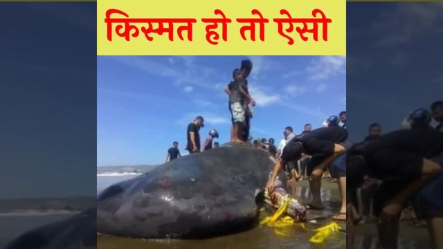 किस्मत कब बदल जाती है किसी को नही पता || #Shorts || смотреть онлайн