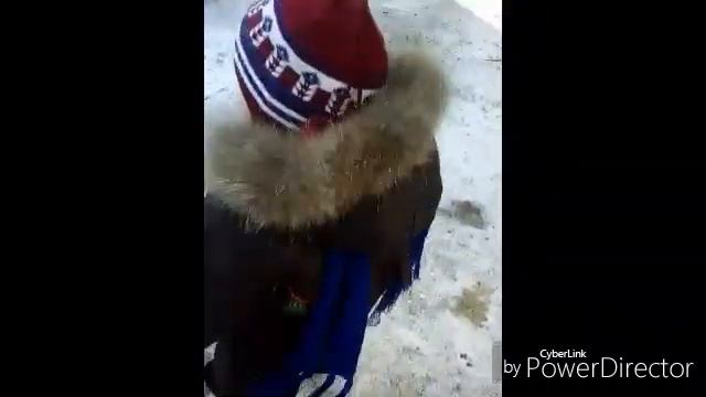 Гули, гули...