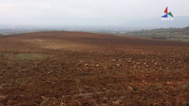 ЛД Фазан засади 10 хектари сончоглед за да се врати прелетниот дивеч 11 04 2017 смотреть онлайн