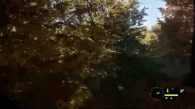 theHunter: Call of the Wild смотреть онлайн