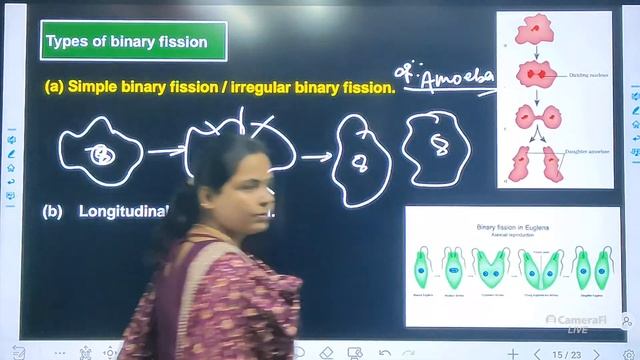 MISSION BOARD 2024 | BIOLOGY | Reproduction In Organisms | Lecture -2 | BSEB | CBSE | J.S.Ma'am | смотреть онлайн