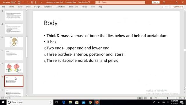 DPT, Anatomy lecture 2, date: 13-06-2020 смотреть онлайн
