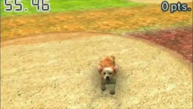 A nintendogs Slideshow смотреть онлайн