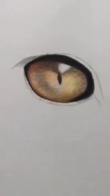 cat eyes 👀 #drawing #shorts #sketch #shortsvideo #cat смотреть онлайн