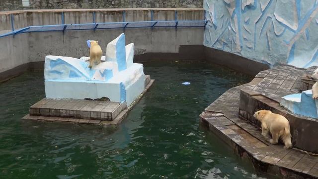 Стрелка прыгнула первой и представление началось. 24.09.2023 смотреть онлайн