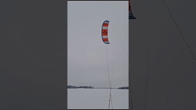 Привет от Выборгского родственника🤣💪 смотреть онлайн